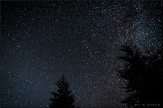 Still from a time-lapse sequence of the Perseid meteors from Fickle Hill Road on Aug. 11 - DAVID WILSON