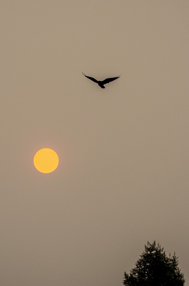 September – We awoke to a red sky and sun from smoke from nearby wildfires. - PHOTO BY MARK LARSON