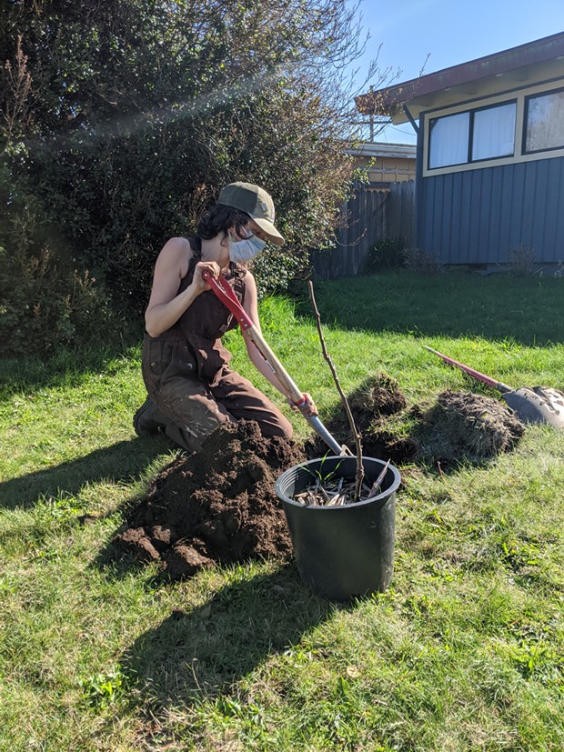 Eva Hogue, a Cooperation Humboldt garden installer, planting a fruit tree. - COOPERATION HUMBOLDT