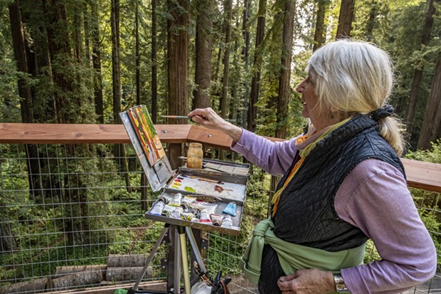 Artist Cretha Wilson, of Ferndale, found a shady spot on one of the redwood tree platforms and quickly began her painting. - PHOTO BY MARK LARSON