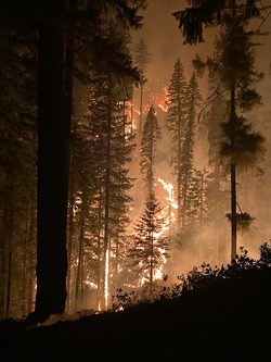 The McCash Fire was "very active" yesterday, growing by nearly 50 percent. - US FOREST SERVICE