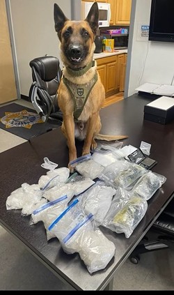 K9 Cain with meth seized by Humboldt County Drug Task Force agents working with the Fortuna Police Department. - HCDTF