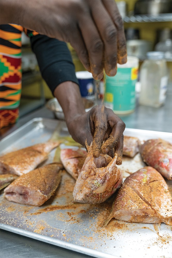 Jamaican snapper in the making. - PHOTO BY HOLLY HARVEY
