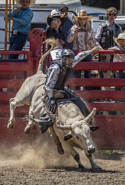Logan Cook, of Santa Rosa, was the only one of three participants in the Bull Riding event to successfully complete an eight-second ride. - PHOTO BY MARK LARSON