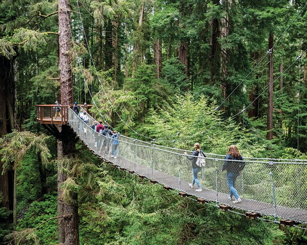 Zoo visitors stroll through the forest canopy on the Redwood Sky Walk. - PHOTO BY MARK LARSON