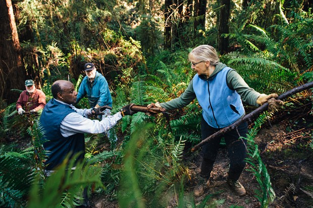 (Left to right) Gary Friedrichsen, John Sullivan, George Nickerson and Orleen Smukler pass limbs down the slope to mix in with replanted ferns. - BEAU SAUNDERS
