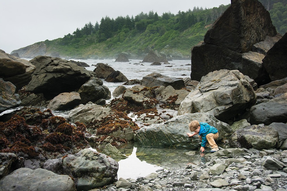 Tide pools at Patrick's Point. - TURNER FORTE PHOTOGRAPHY