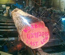 The last log to come off the Korbel Mill when it closed in 2015. The mill had been in operation on and off since 1884. - PHOTO BY WILLY WARD