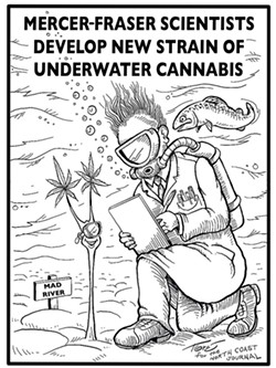 Mercer-Fraser scientists develop new strain of underwater cannabis. - TERRY TORGERSON