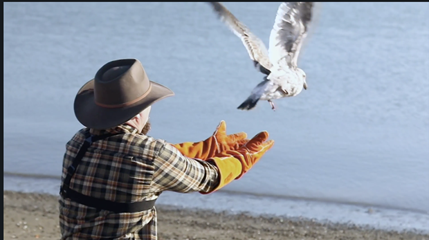 Griffith releases an injured gull back into the wild. - VIA ANIMALPLANET.COM
