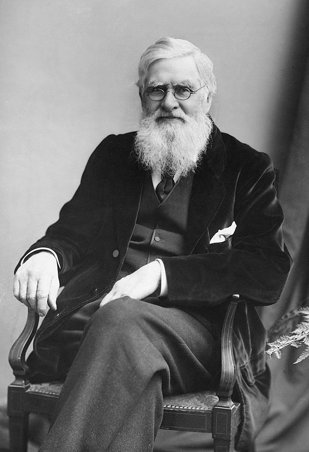 "Decent to a fault" (per historian Charles Smith), Alfred Russel Wallace (1823-1913) was a scientist, social justice activist and polymath.