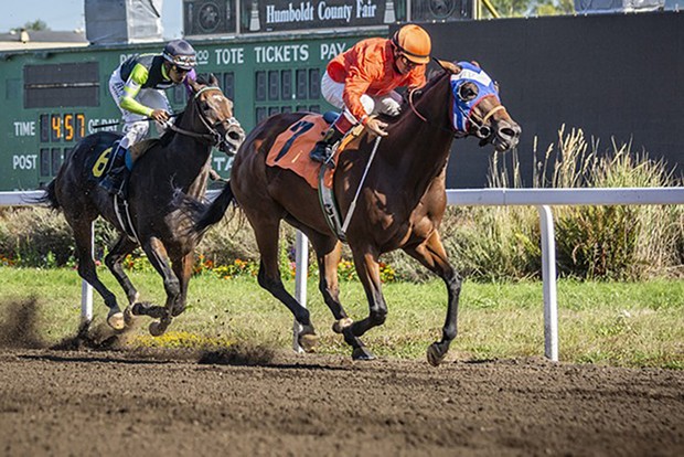 On the track at the 2019 Humboldt County Fair.