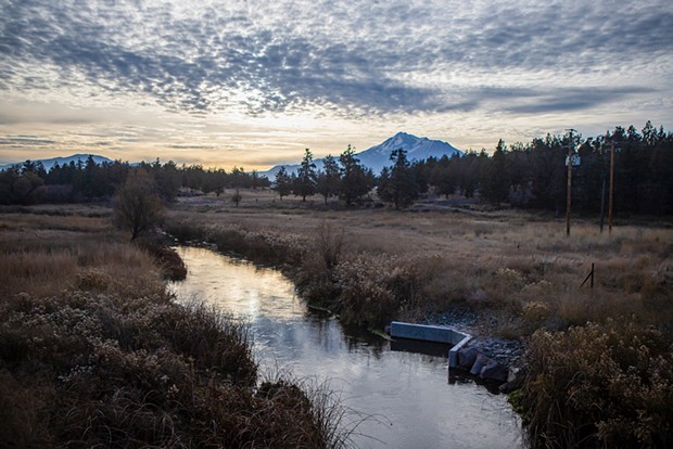 The Shasta River flowing through a field near Mount Shasta       in Siskiyou County on Oct. 30.