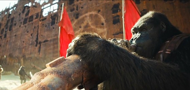 Even apes have that one guy on the plaza with a didgeridoo.