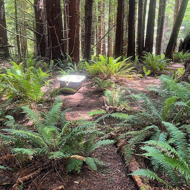 Not for "forest bathing," a relic from the town of Falk.