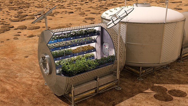 If and when humans land on Mars, fresh vegetables will help keep them healthy and happy.