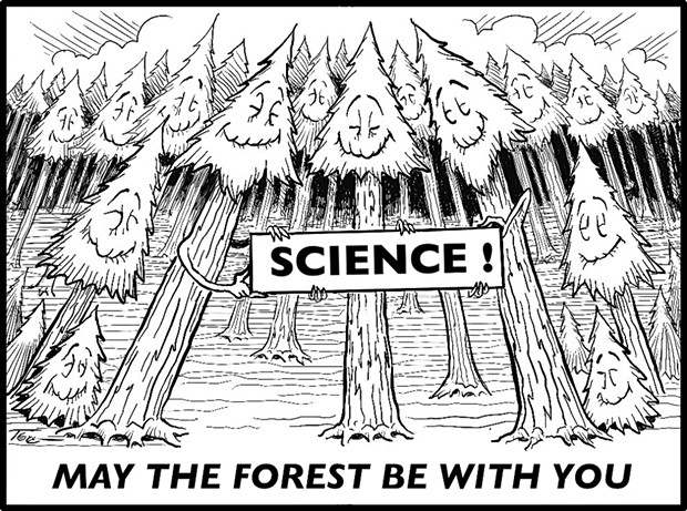May The Forest Be WIth You