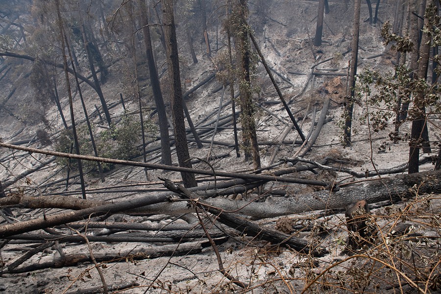 By the numbers: California's mild 2022 wildfire season - CalMatters