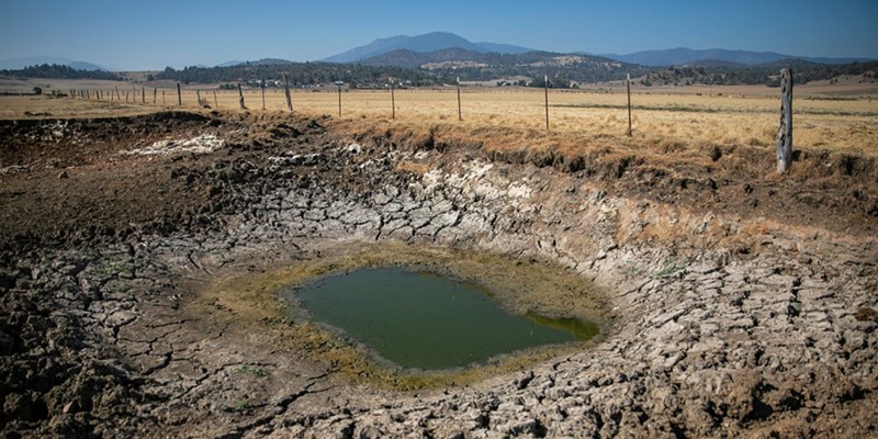 A dried out stock pond on a Siskiyou County ranch on Aug. 29, 2022.