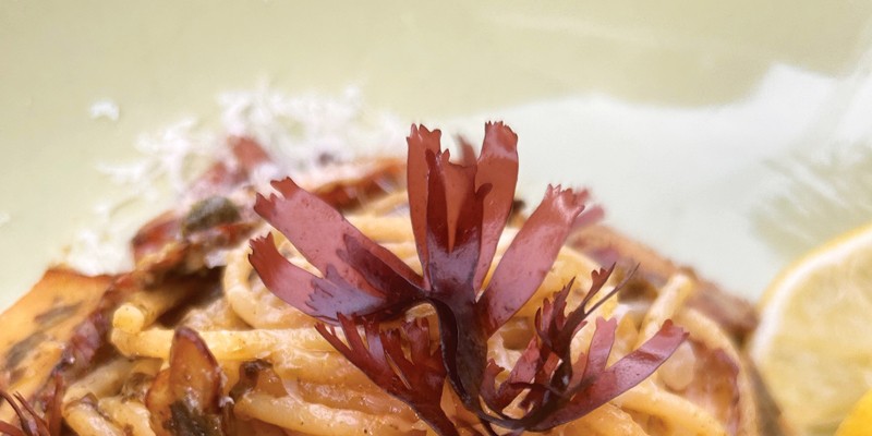 Pasta with lobster mushrooms and red dulse seaweed.