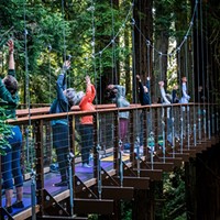 Year in Review by Mark Larson June: In yet another moment of the Grand Opening weekend of the Redwood Sky Walk, three yoga instructors, Ben and Rupali Brown and Serena Ahlgren from the Pali Yoga Studio, led a yoga class spread out on the suspended walkways and tree platforms. Photo by Mark Larson