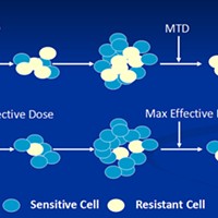 Unlike conventional chemotherapy, which uses the maximum tolerated dose of chemo drugs, adaptive therapy uses smaller doses that leave enough sensitive cells to essentially crowd out resistant cells.