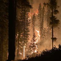 The McCash Fire was "very active" yesterday, growing by nearly 50 percent.
