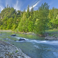 If passed, the bill will extend the reservation boundary to include the Yurok Tribe’s Old-Growth Forest and Salmon Sanctuary in the lower part of Blue Creek.