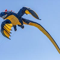 This large inflatable dragon kite was flown east of the Samoa Bridge  by Darril Dela Torre, of Berkeley, a kite-flying enthusiast and member of the American Kiteflyers Association.