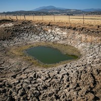 A dried out stock pond on a Siskiyou County ranch on Aug. 29, 2022.
