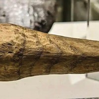 The re-classified 2,000-year-old wooden dildo from near Hadrian's Wall, England.