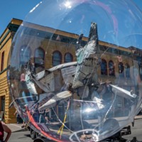 The recently purchased city of Eureka's crab mascot (photographed through a large plastic bubble) now appears at most city outdoor events. It was created by artist Dan McCauley in 2018.