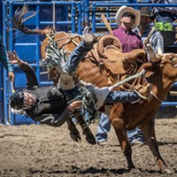 Adding a saddle didn't necessarily mean it was easier to have a successful ride in the Saddle Bronc Steer competition.