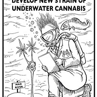 Mercer-Fraser scientists develop new strain of underwater cannabis.