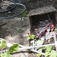 Needles discarded in a homeless camp.