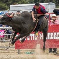 A bull rider fights to hold on at Redwood Acres Fairgrounds.