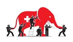 The (Single-Payer) Elephant in the Room