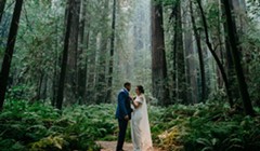 A Wedding in the Redwoods