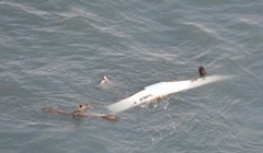 UPDATE: Coast Guard Rescues Crab Boat Crew