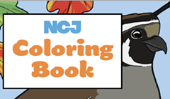 Call for Submissions: 2024 Coloring Book Art