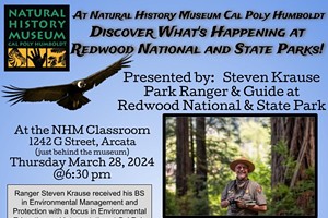 Discover What is Happening at Redwood National & State Parks