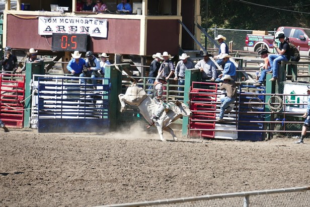 Rodeo 2015