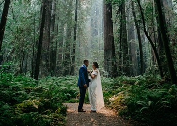 A Wedding in the Redwoods