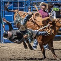 Scenes from the Junior Rodeo