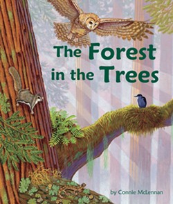 A new picture book for children ages 3-8 explores the plants and animals that live in the high branches of the ancient redwoods. - Uploaded by Eureka Books 1