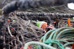 PHOTO BY THOMAS LAL - Commercial crab fishing is gear intensive, with boats losing about 10 percent of their traps annually.