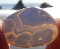 PHOTO BY MIKE KELLY - A big, backlit Humboldt agate the bears passed over.