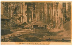HUMBOLDT COUNTY HISTORICAL SOCIETY - Photo of zoo from middle of last century.