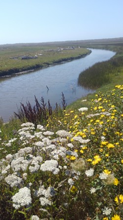 Eel River Estuary Preserve - Uploaded by Denise Seeger
