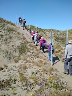 PHOTO BY LOUISA ROGERS - Ascending the steepest part of the Friends of the Dunes guided tour of the Lanphere Dunes.